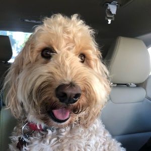 Meet your Posher, Julia